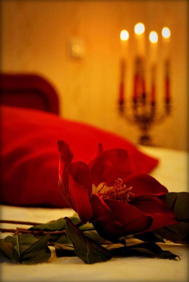Hotel Zaodrze Opole Extérieur photo